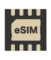 eSIM
